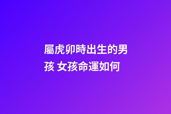 屬虎卯時出生的男孩 女孩命運如何